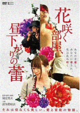 雾港回声电影海报
